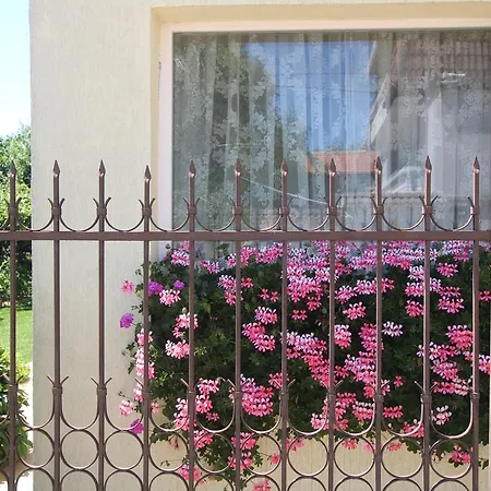 Vendégház Kiwi Aranyhomok