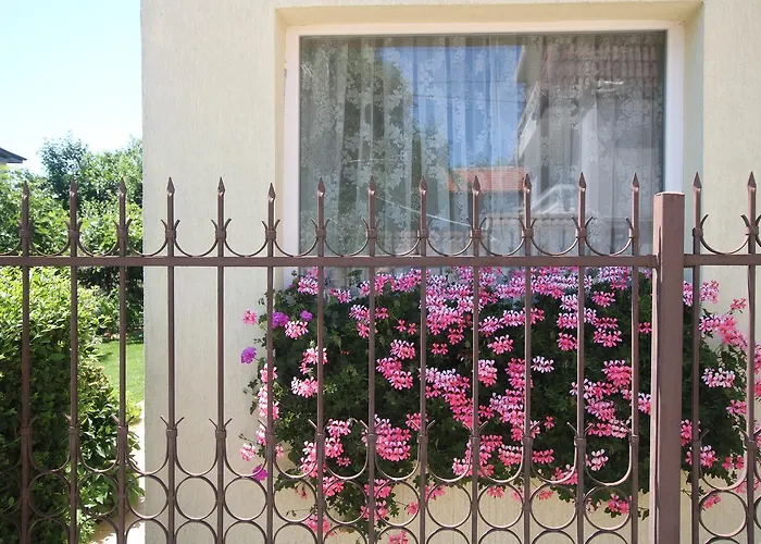 Pensión Kiwi Golden Sands