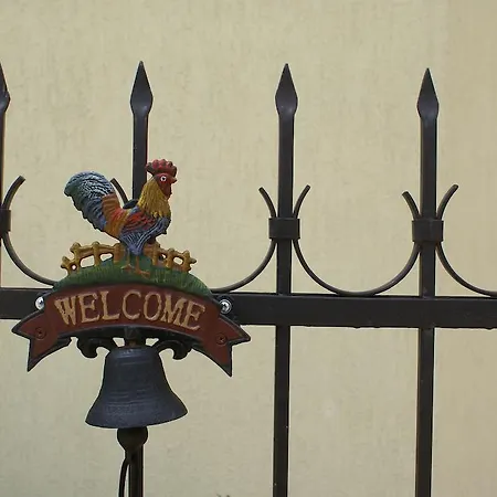 Guest house Kiwi *