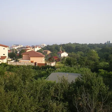 Kiwi בית הארחה