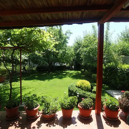 Guest house Kiwi *