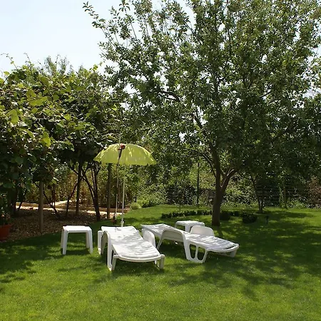 Guest house Kiwi *