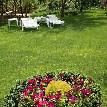 בית הארחה Kiwi