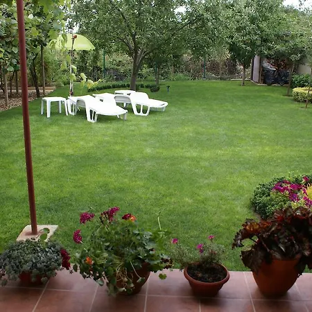 בית הארחה Kiwi גולדן סנדס